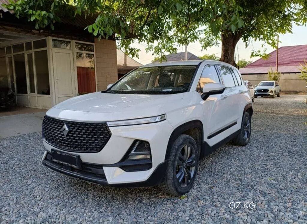 Baojun Baojun Rs 7