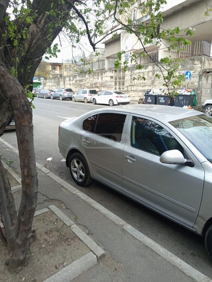 Skoda Skoda Octavia — фото 3