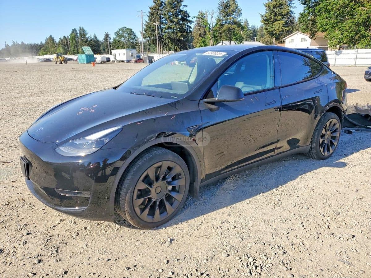 Tesla Tesla