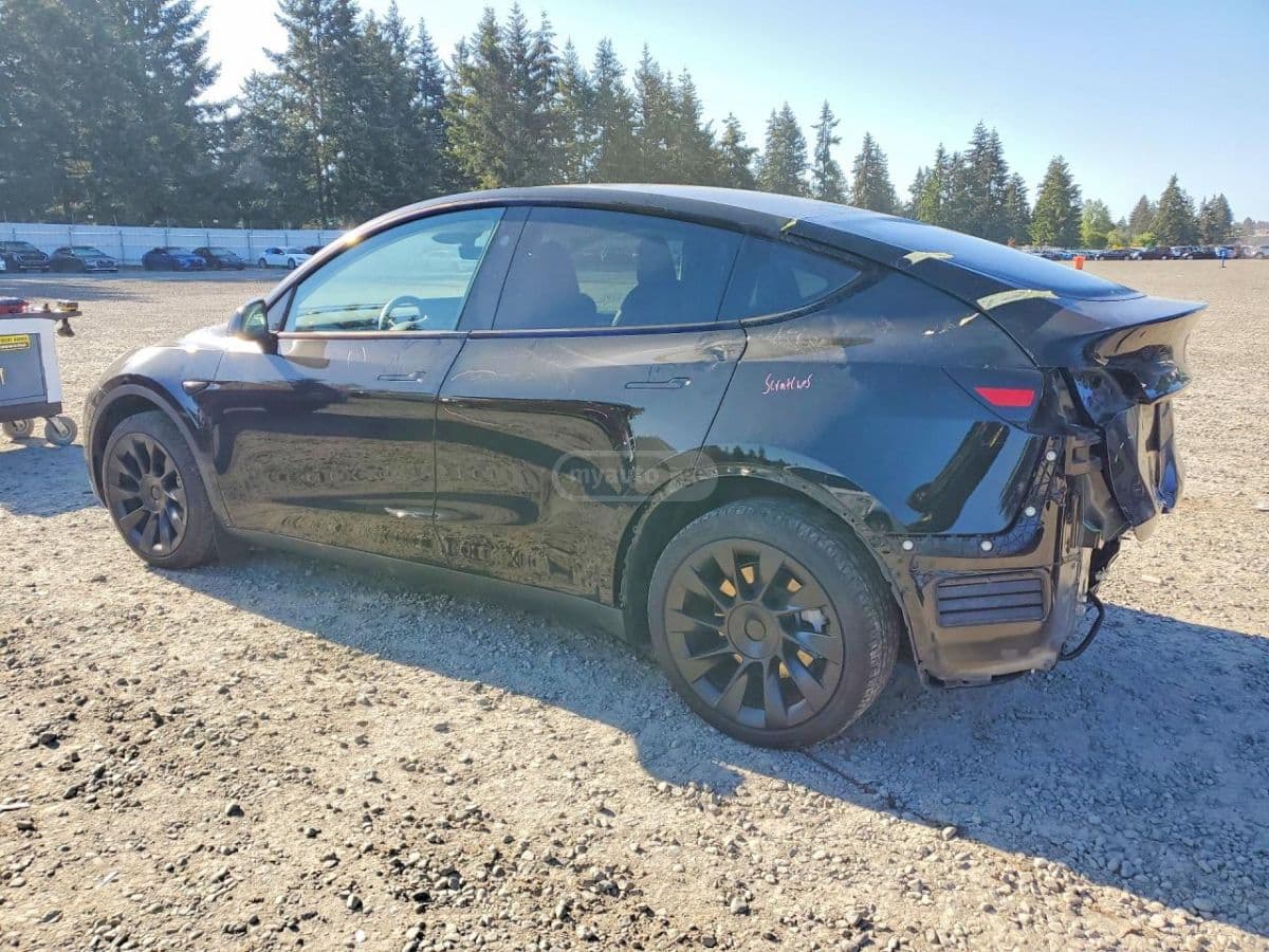Tesla Tesla — фото 2