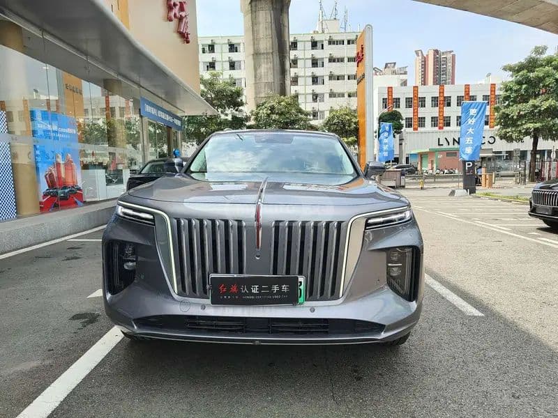 Hongqi Hongqi E Hs9 — фото 2