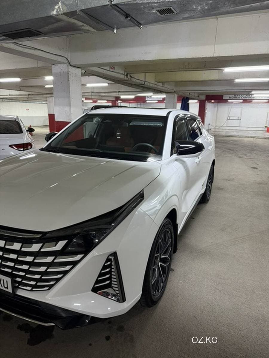 Zotye Zotye T600