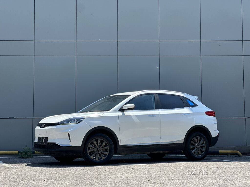 Haima Haima Aishang Ev
