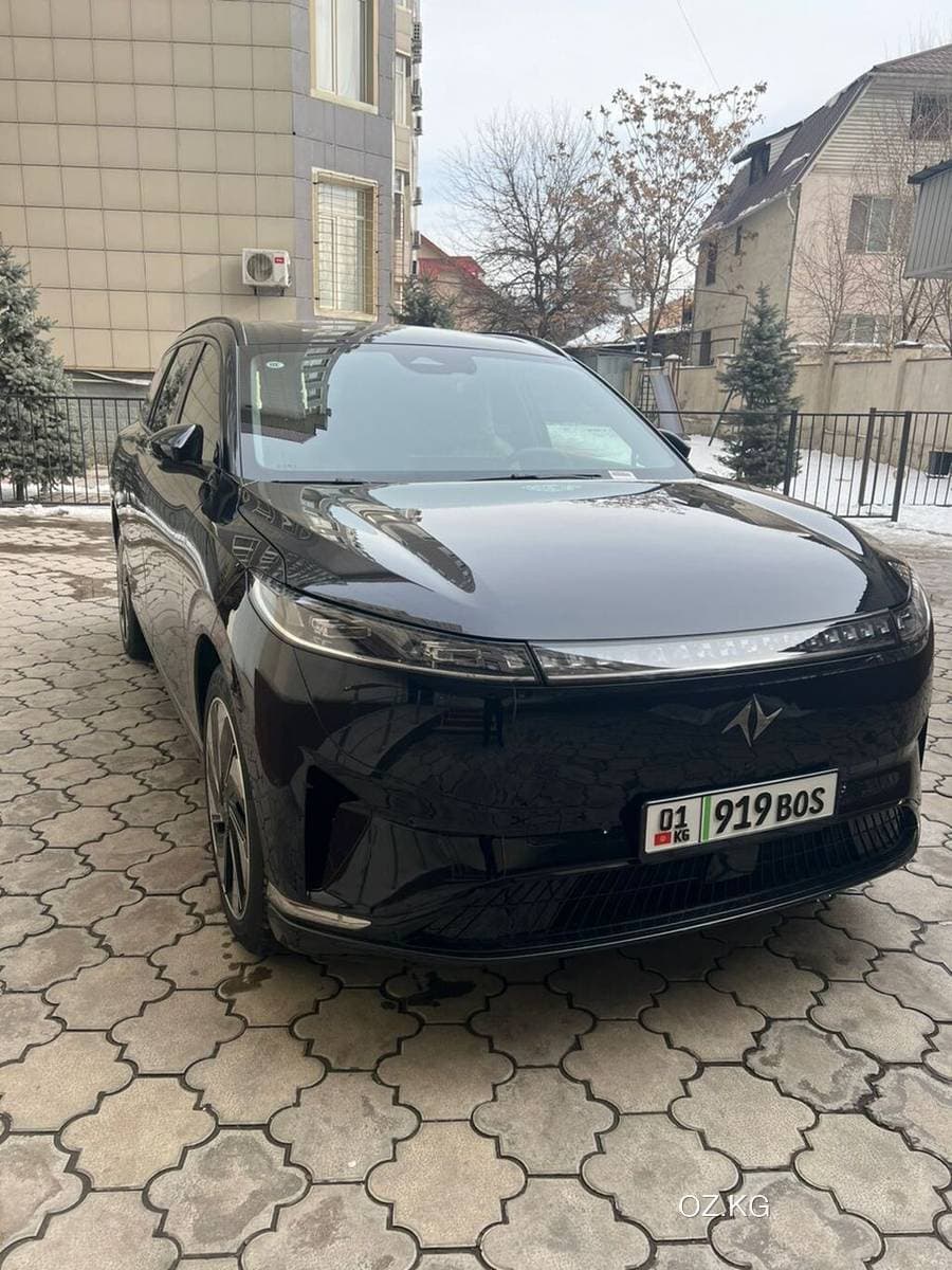 Dongfeng Dongfeng Nammi 01
