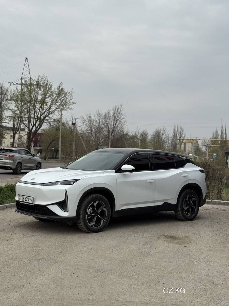 Dongfeng Dongfeng Nammi 01