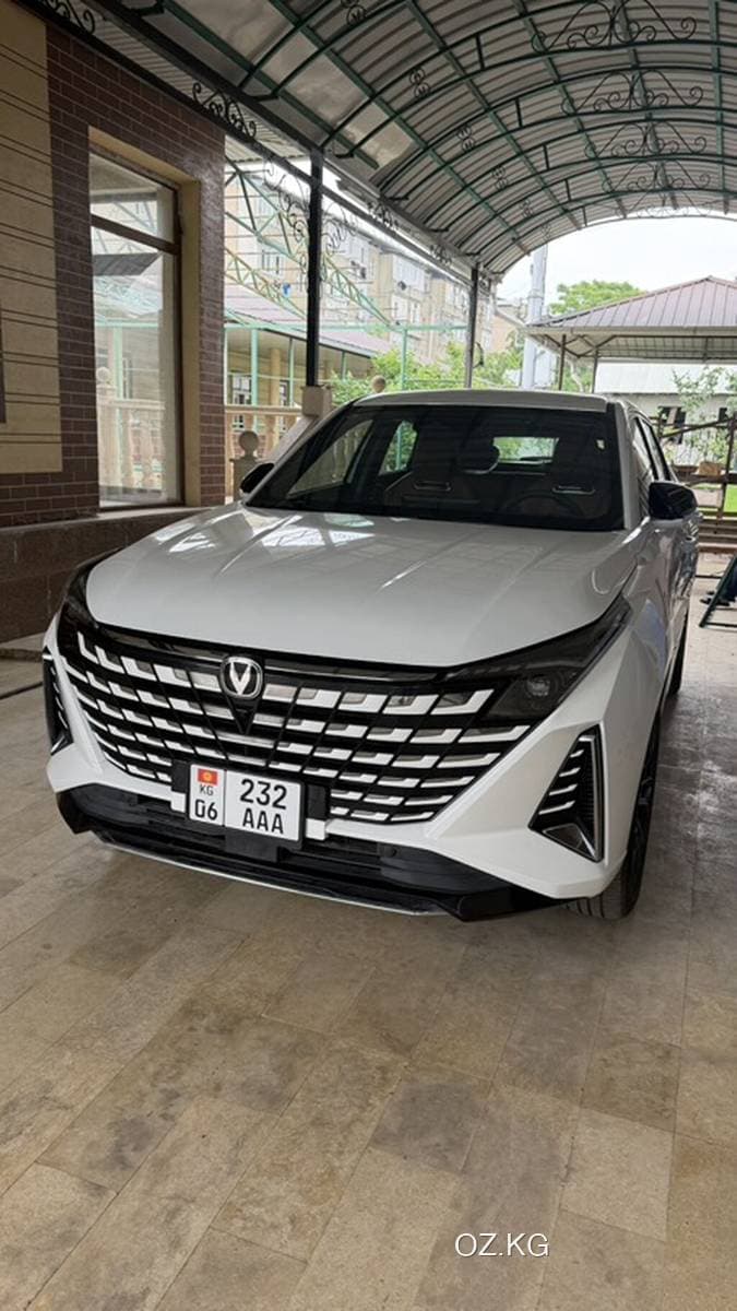 Zotye Zotye T600