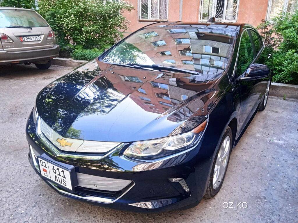 Maple Maple Leaf 80V