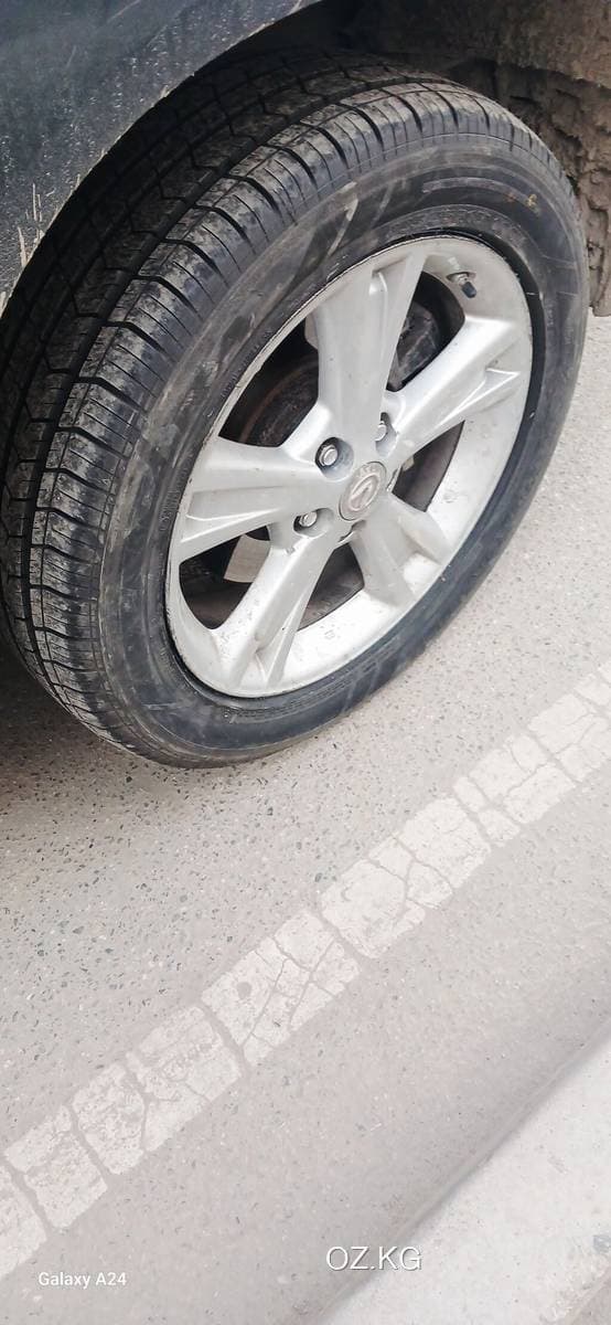 Traum Traum Meet 5 Ma501