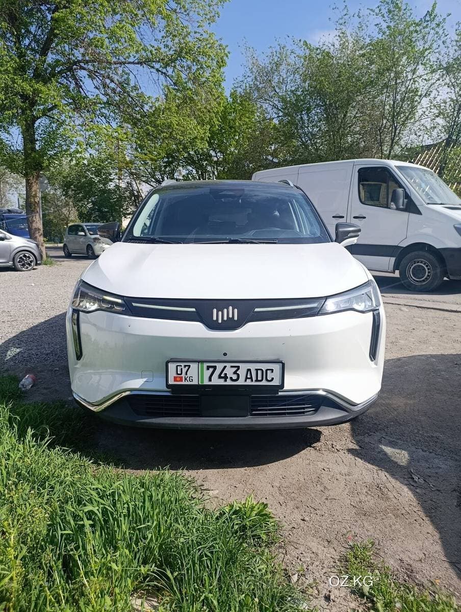 Wey Wey Vv6