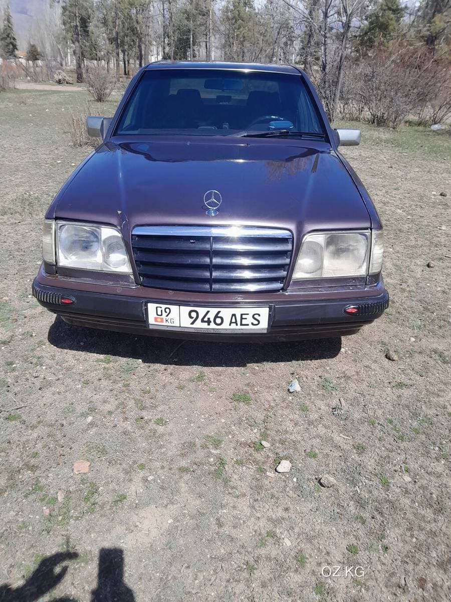 Aro Aro Aro 24