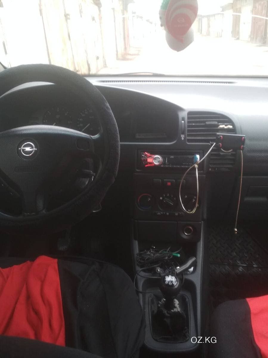 Zaz Zaz Forza
